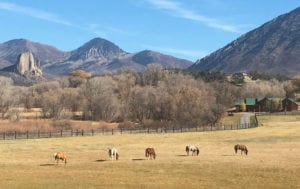 Crawford Needle Rock Horses Fall Colorado