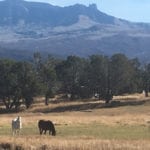 Crawford Castle Peak Horses Colorado