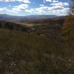 Pasture Paonia Colorado